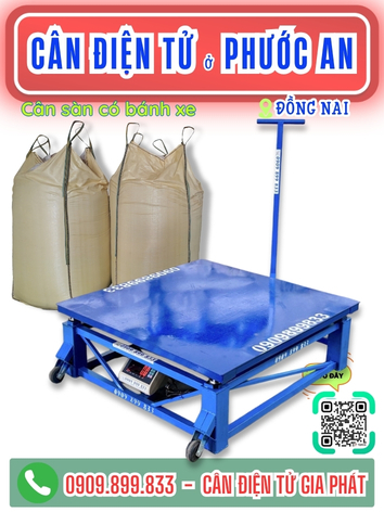 Cân điện tử ở xã Phước An Đồng Nai