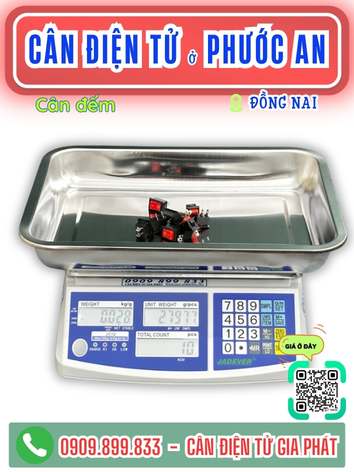 Cân điện tử Phước An Đồng Nai - Cân Gia Phát
