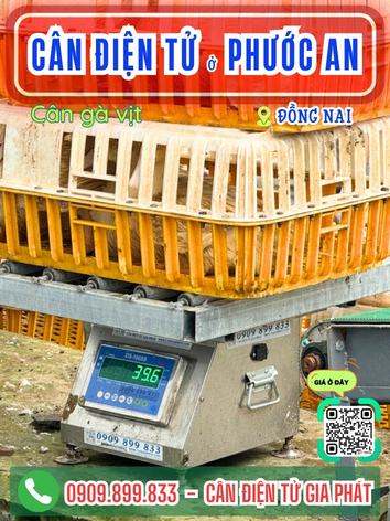 Cân điện tử Phước An Đồng Nai - Cân Gia Phát