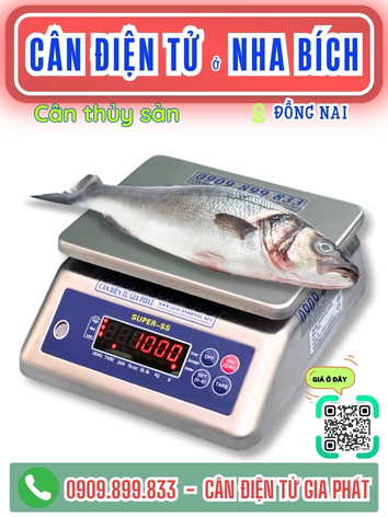 C&acirc;n điện tử ở Nha B&iacute;ch Đồng Nai - C&acirc;n Gia Ph&aacute;t