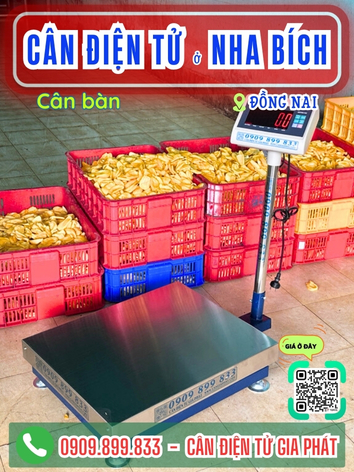 C&acirc;n điện tử ở Nha B&iacute;ch Đồng Nai - C&acirc;n Gia Ph&aacute;t