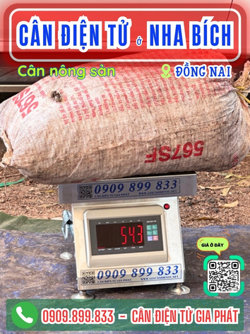 C&acirc;n điện tử ở Nha B&iacute;ch Đồng Nai - C&acirc;n Gia Ph&aacute;t