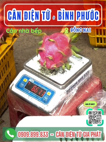 Cân điện tử ở phường Bình Phước Đồng Nai