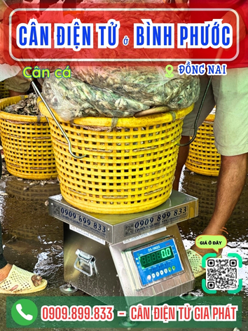 C&acirc;n điện tử ở B&igrave;nh Phước Đồng Nai - C&acirc;n Gia Ph&aacute;t