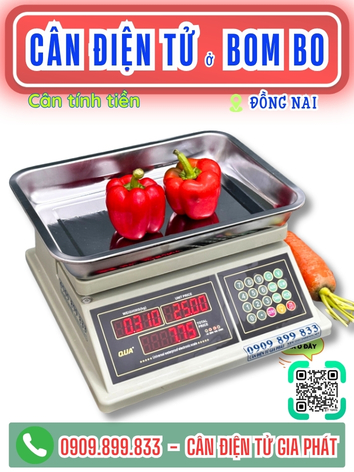 C&acirc;n điện tử ở Bom Bo Đồng Nai - C&acirc;n Gia Ph&aacute;t