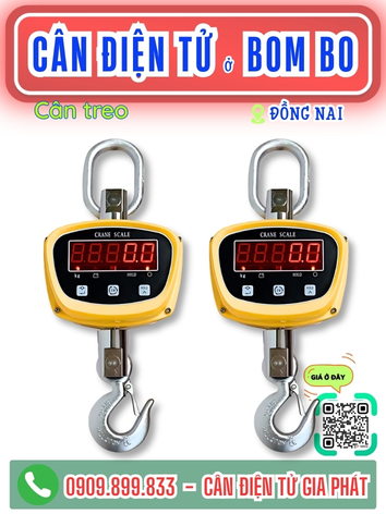 Cân điện tử ở xã Bom Bo Đồng Nai