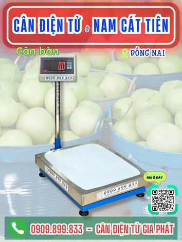 C&acirc;n điện tử ở Nam C&aacute;t Ti&ecirc;n Đồng Nai - C&acirc;n Gia Ph&aacute;t