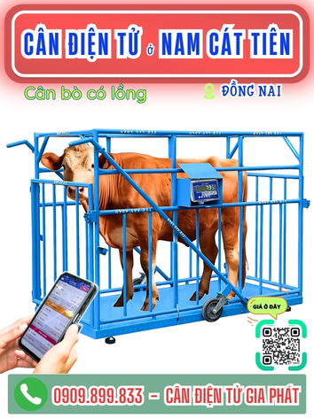 C&acirc;n điện tử ở Nam C&aacute;t Ti&ecirc;n Đồng Nai - C&acirc;n Gia Ph&aacute;t