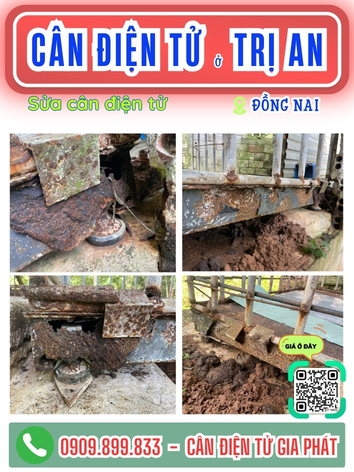 C&acirc;n điện tử Trị An Đồng Nai - C&acirc;n Gia Ph&aacute;t