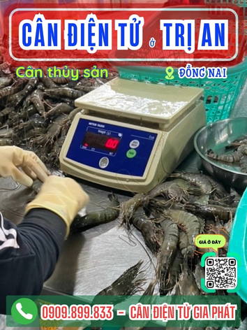 C&acirc;n điện tử Trị An Đồng Nai - C&acirc;n Gia Ph&aacute;t