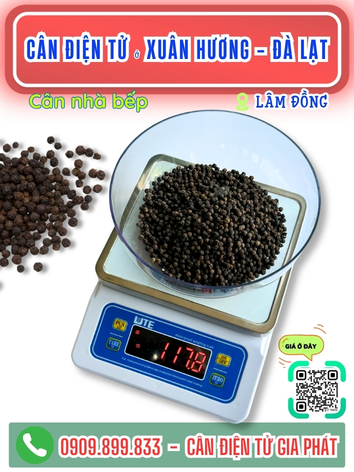 C&acirc;n điện tử ở Xu&acirc;n Hương -  Đ&agrave; Lạt L&acirc;m Đồng - C&acirc;n Gia Ph&aacute;t