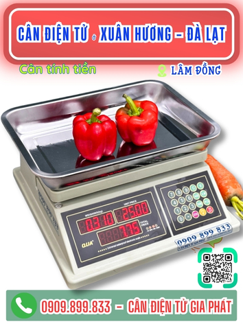 C&acirc;n điện tử ở Xu&acirc;n Hương -  Đ&agrave; Lạt L&acirc;m Đồng - C&acirc;n Gia Ph&aacute;t