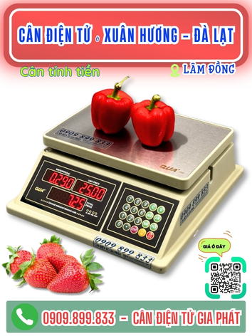 Cân điện tử ở phường Xuân Hương - Đà Lạt, tỉnh Lâm Đồng