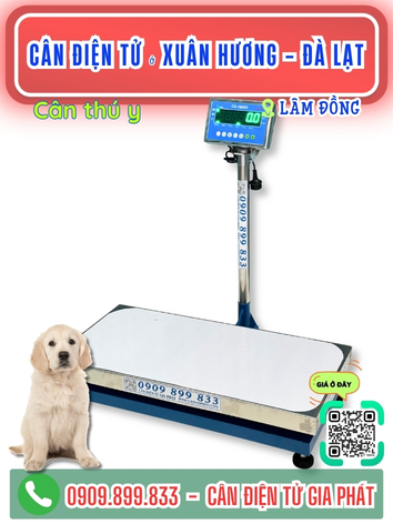 C&acirc;n điện tử ở Xu&acirc;n Hương -  Đ&agrave; Lạt L&acirc;m Đồng - C&acirc;n Gia Ph&aacute;t