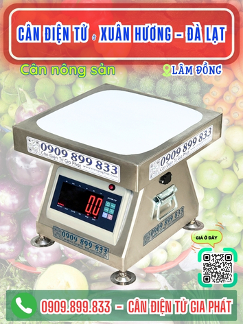 C&acirc;n điện tử ở Xu&acirc;n Hương -  Đ&agrave; Lạt L&acirc;m Đồng - C&acirc;n Gia Ph&aacute;t