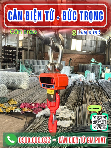 Cân điện tử ở xã Đức Trọng Lâm Đồng