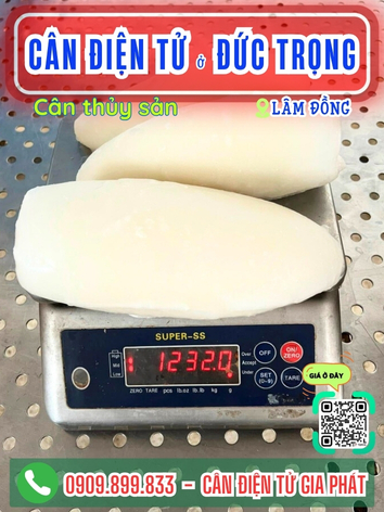 C&acirc;n điện tử ở Đức Trọng L&acirc;m Đồng - C&acirc;n Gia Ph&aacute;t