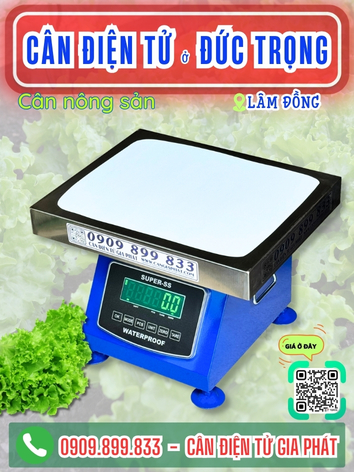 C&acirc;n điện tử ở Đức Trọng L&acirc;m Đồng - C&acirc;n Gia Ph&aacute;t