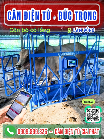 C&acirc;n điện tử ở Đức Trọng L&acirc;m Đồng - C&acirc;n Gia Ph&aacute;t