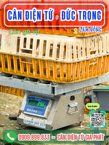 C&acirc;n điện tử ở Đức Trọng L&acirc;m Đồng - C&acirc;n Gia Ph&aacute;t