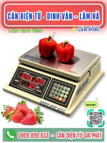 C&acirc;n điện tử ở Đức Trọng - L&acirc;m H&agrave; L&acirc;m Đồng - C&acirc;n Gia Ph&aacute;t