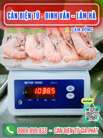 C&acirc;n điện tử ở Đức Trọng - L&acirc;m H&agrave; L&acirc;m Đồng - C&acirc;n Gia Ph&aacute;t