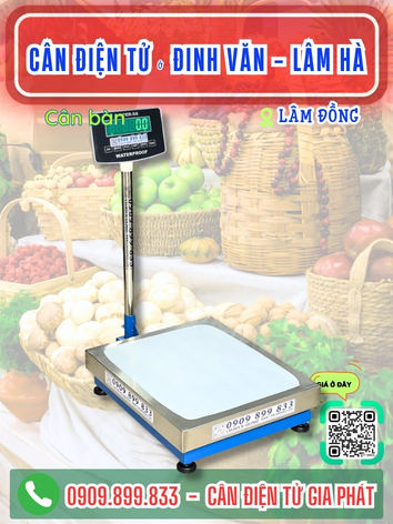 C&acirc;n điện tử ở Đinh Văn - L&acirc;m H&agrave; L&acirc;m Đồng - C&acirc;n Gia Ph&aacute;t