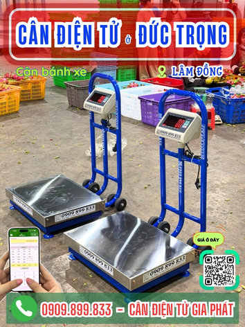 C&acirc;n điện tử ở Đức Trọng - L&acirc;m H&agrave; L&acirc;m Đồng - C&acirc;n Gia Ph&aacute;t