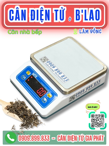 C&acirc;n điện tử ở B'Lao L&acirc;m Đồng - C&acirc;n Gia Ph&aacute;t