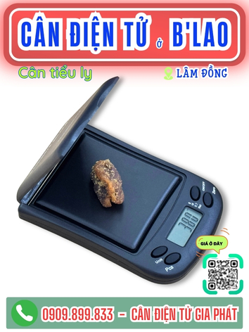 11-can-dien-tu-blao-lam-domg-can-gia-phat