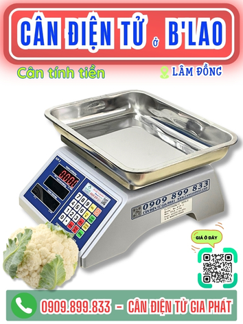C&acirc;n điện tử ở B'Lao L&acirc;m Đồng - C&acirc;n Gia Ph&aacute;t