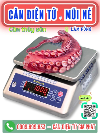 C&acirc;n điện tử ở Mũi N&eacute; L&acirc;m Đồng - C&acirc;n Gia Ph&aacute;t