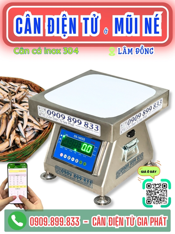 C&acirc;n điện tử ở Mũi N&eacute; L&acirc;m Đồng - C&acirc;n Gia Ph&aacute;t