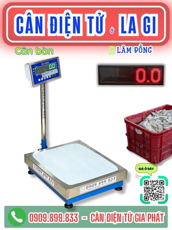 C&acirc;n điện tử ở La Gi L&acirc;m Đồng - C&acirc;n Gia Ph&aacute;t