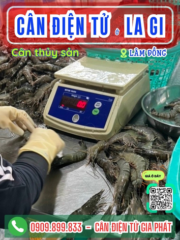 C&acirc;n điện tử ở La Gi L&acirc;m Đồng - C&acirc;n Gia Ph&aacute;t