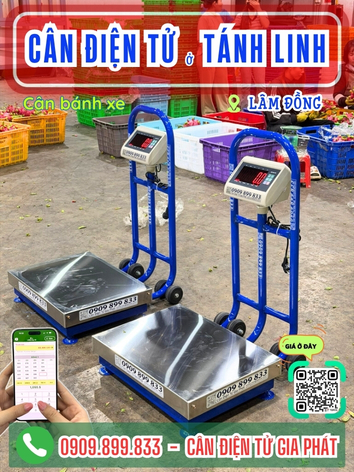 C&acirc;n điện tử ở T&aacute;nh Linh L&acirc;m Đồng - C&acirc;n Gia Ph&aacute;t