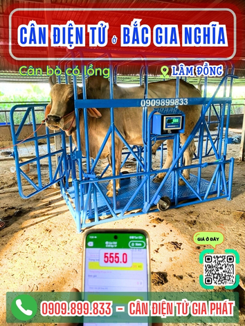 Cân điện tử ở phường Bắc Gia Nghĩa Lâm Đồng