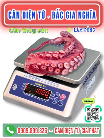 C&acirc;n điện tử ở Bắc Gia Nghĩa L&acirc;m Đồng - C&acirc;n Gia Ph&aacute;t