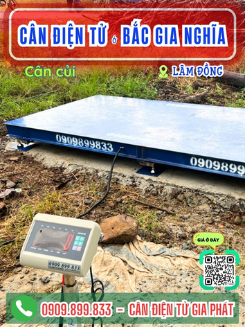 C&acirc;n điện tử ở Bắc Gia Nghĩa L&acirc;m Đồng - C&acirc;n Gia Ph&aacute;t