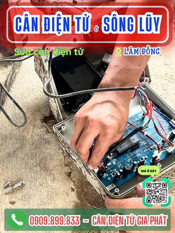 C&acirc;n điện tử ở S&ocirc;ng Lũy L&acirc;m Đồng - C&acirc;n Gia Ph&aacute;t 