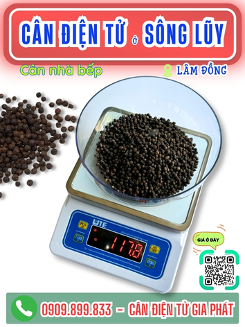 C&acirc;n điện tử ở S&ocirc;ng Lũy L&acirc;m Đồng - C&acirc;n Gia Ph&aacute;t 