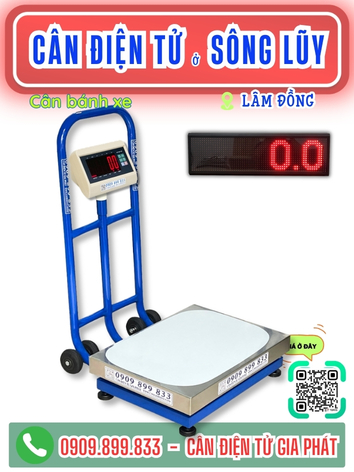 C&acirc;n điện tử ở S&ocirc;ng Lũy L&acirc;m Đồng - C&acirc;n Gia Ph&aacute;t 