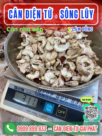 C&acirc;n điện tử ở S&ocirc;ng Lũy L&acirc;m Đồng - C&acirc;n Gia Ph&aacute;t 