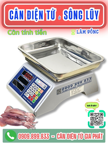 C&acirc;n điện tử ở S&ocirc;ng Lũy L&acirc;m Đồng - C&acirc;n Gia Ph&aacute;t 