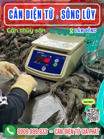 C&acirc;n điện tử ở S&ocirc;ng Lũy L&acirc;m Đồng - C&acirc;n Gia Ph&aacute;t 