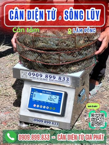 C&acirc;n điện tử ở S&ocirc;ng Lũy L&acirc;m Đồng - C&acirc;n Gia Ph&aacute;t 