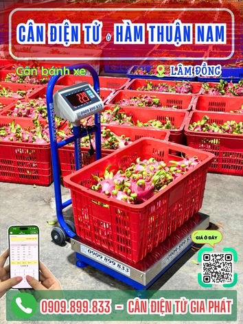 Cân điện tử ở xã Hàm Thuận Nam Lâm Đồng