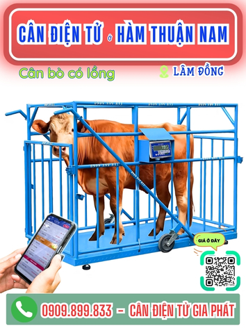 C&acirc;n điện tử ở H&agrave;m Thuận Nam L&acirc;m Đồng - C&acirc;n Gia Ph&aacute;t