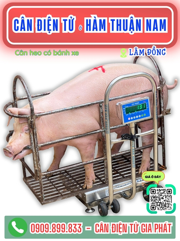 C&acirc;n điện tử ở H&agrave;m Thuận Nam L&acirc;m Đồng - C&acirc;n Gia Ph&aacute;t