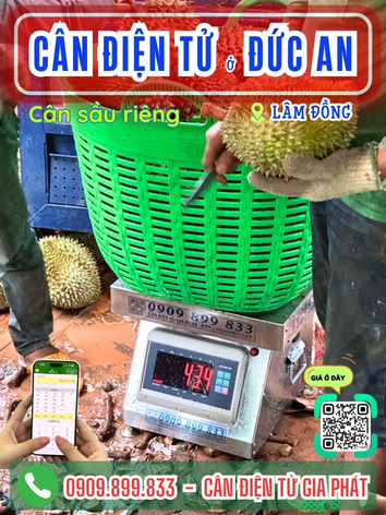 C&acirc;n điện tử ở Đức An L&acirc;m Đồng - C&acirc;n Gia Ph&aacute;t